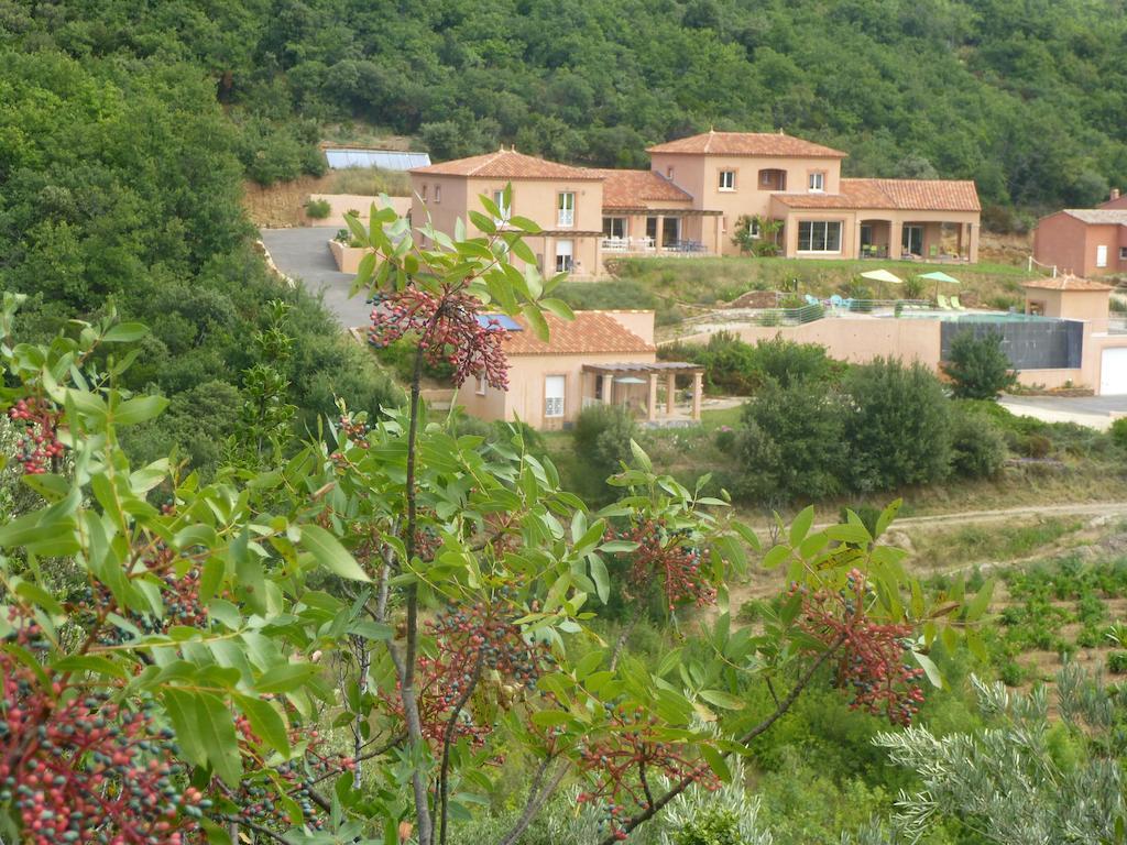 Domaine De Flo Adult A Partir De 16 Ans Bed & Breakfast Saint-Jean-de-la-Blaquiere Екстериор снимка